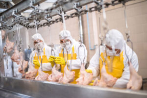 poultry processing