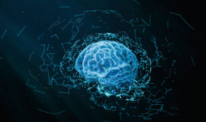 hologram of human brain