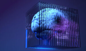 partitioned ai brain