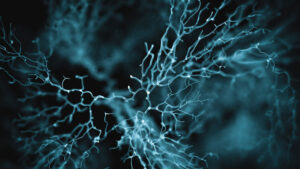 neuron system