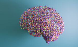 brain of pills