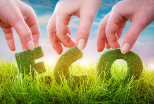 eco cut in the grass