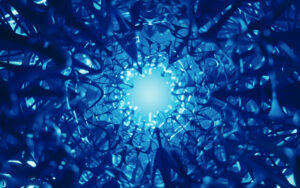 neurological net system