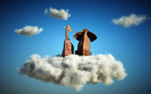 elephant and giraffe sitting on cloud